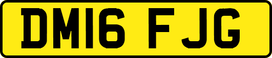 DM16FJG