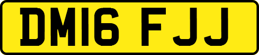 DM16FJJ