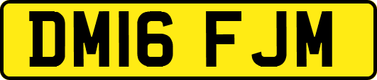 DM16FJM
