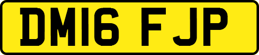 DM16FJP