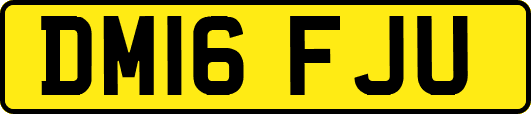 DM16FJU