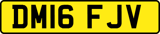 DM16FJV