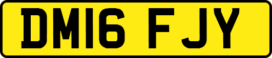 DM16FJY