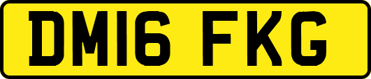 DM16FKG