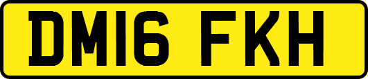 DM16FKH
