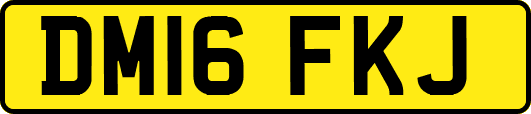 DM16FKJ