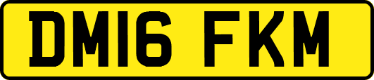 DM16FKM