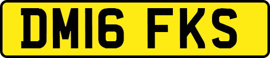 DM16FKS