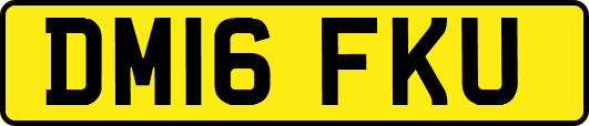 DM16FKU
