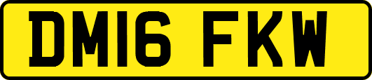 DM16FKW
