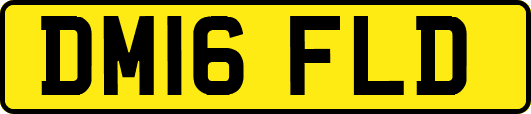 DM16FLD