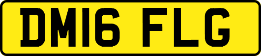 DM16FLG