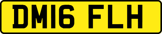 DM16FLH