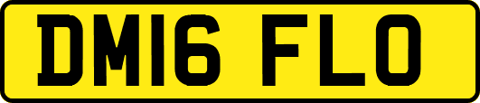 DM16FLO