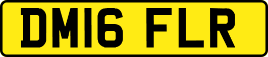 DM16FLR