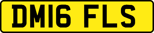 DM16FLS