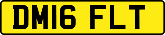 DM16FLT