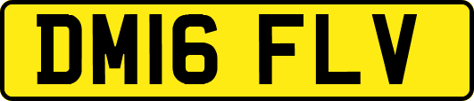 DM16FLV