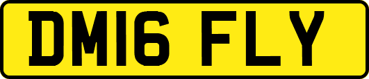 DM16FLY