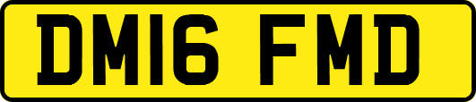 DM16FMD