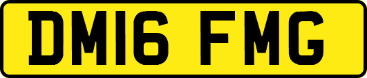 DM16FMG