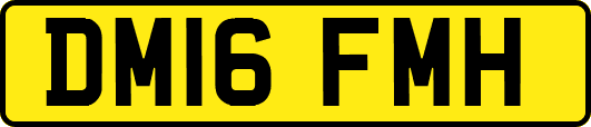 DM16FMH