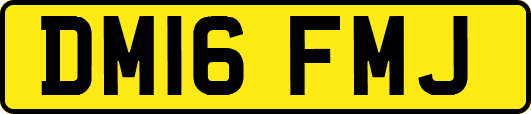 DM16FMJ