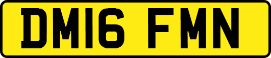 DM16FMN
