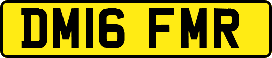 DM16FMR