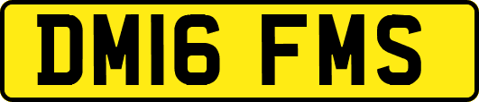 DM16FMS