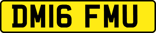 DM16FMU