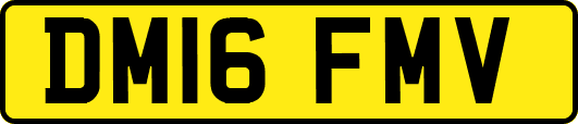 DM16FMV