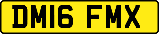 DM16FMX
