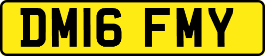 DM16FMY