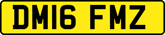 DM16FMZ