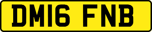 DM16FNB