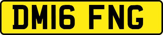 DM16FNG