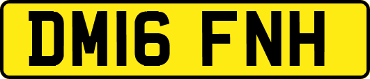 DM16FNH