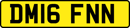 DM16FNN