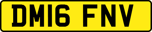 DM16FNV