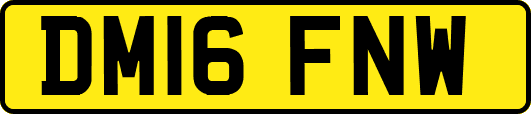 DM16FNW
