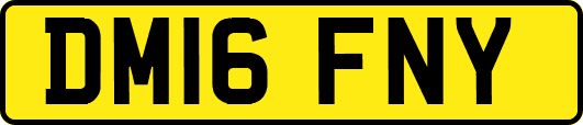 DM16FNY