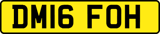 DM16FOH