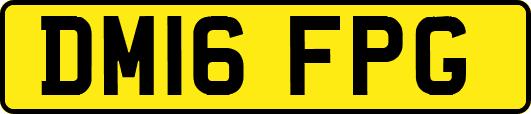 DM16FPG