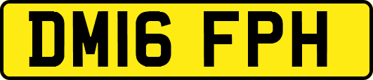 DM16FPH