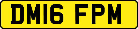 DM16FPM