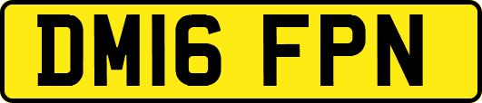 DM16FPN
