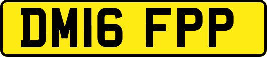 DM16FPP