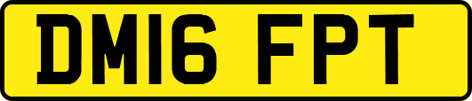 DM16FPT