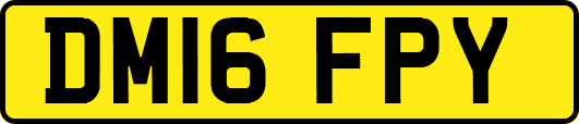 DM16FPY